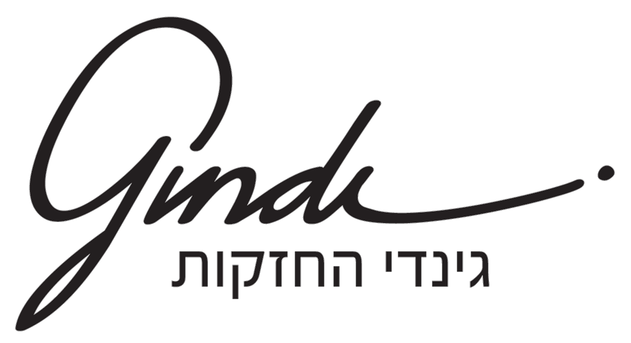 לוגו גינדי החזקות