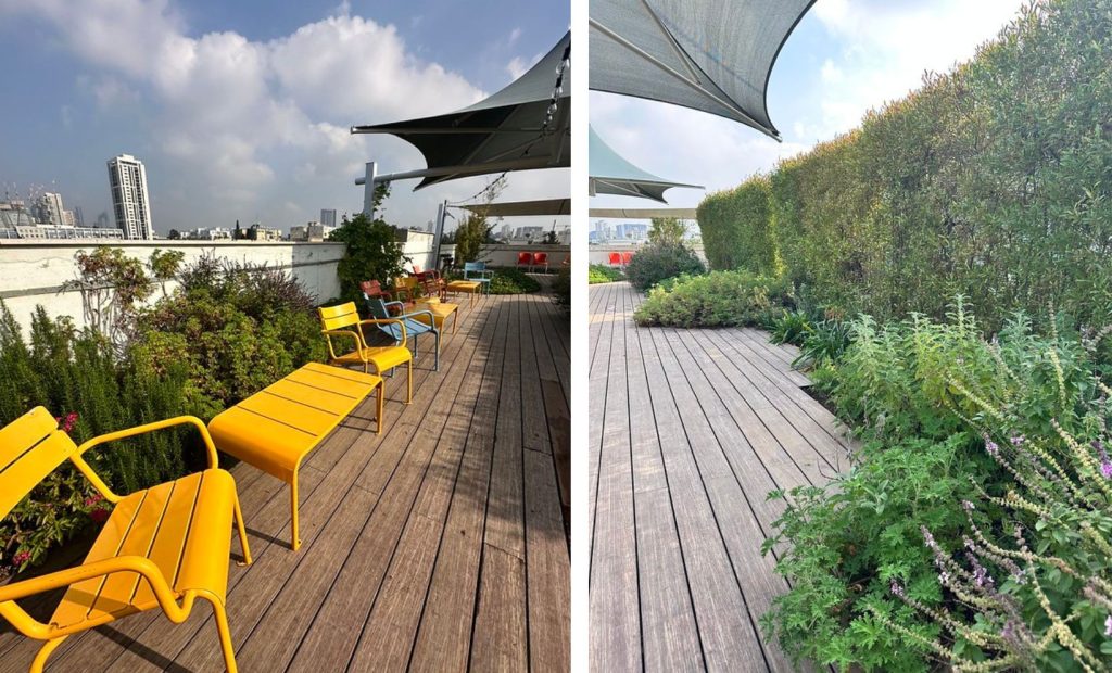 גג ירוק צילום: דוברות עיריית תל אביב