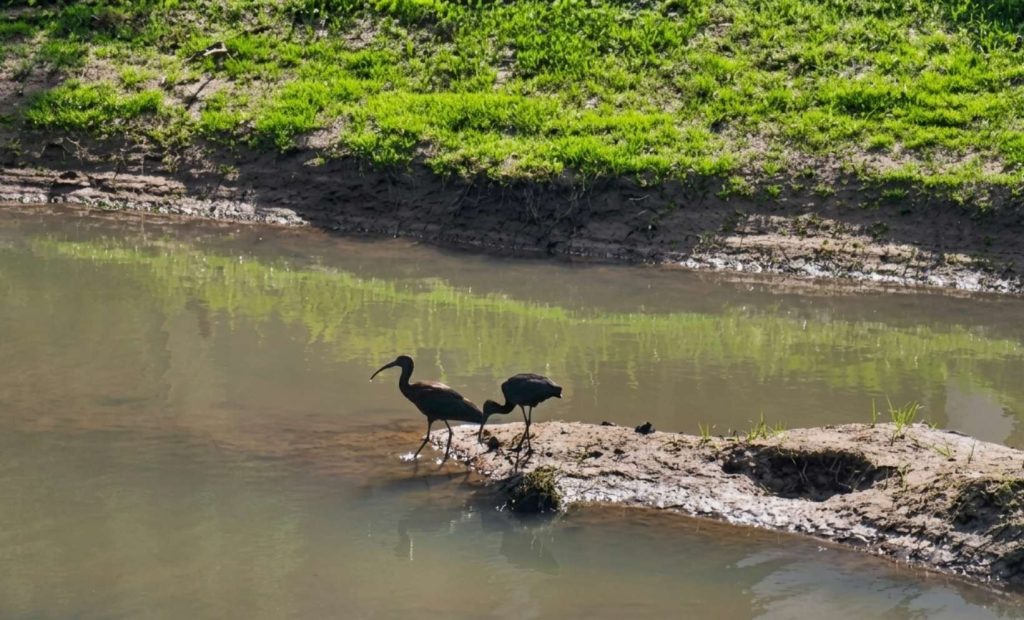 פארק גליל ים צילום: "בשביל המשפחה"